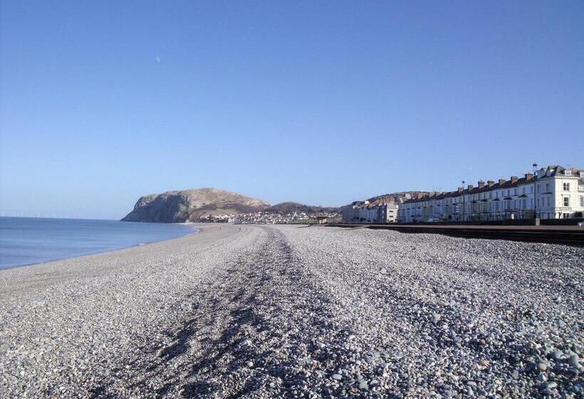 ホテル Britannia Guest House