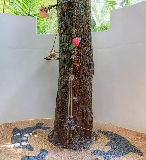 בית מלון כפרי Casitas Maraika