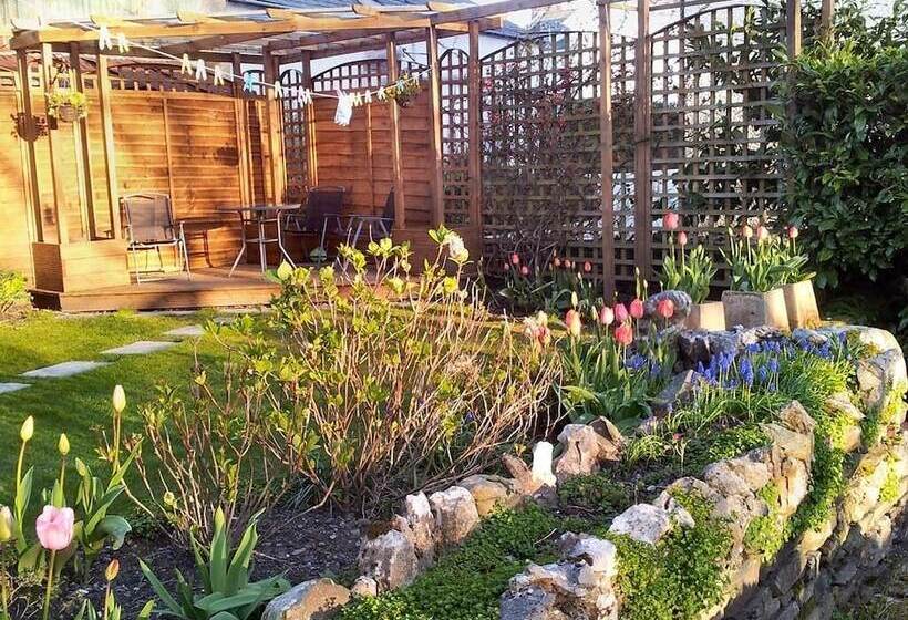 酒店 College House