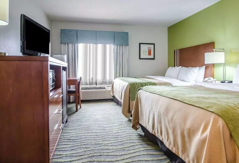 ホテル Comfort Inn & Suites Shepherdsville   Louisville South