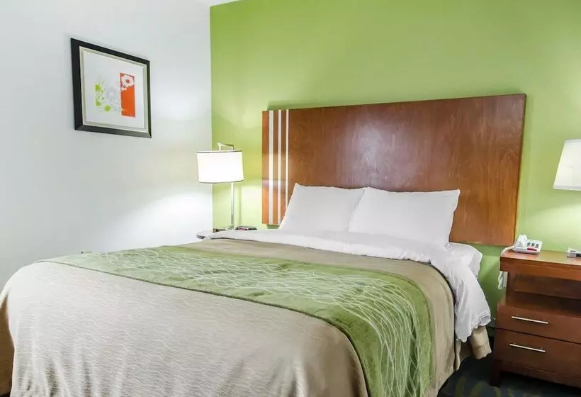 ホテル Comfort Inn & Suites Shepherdsville   Louisville South