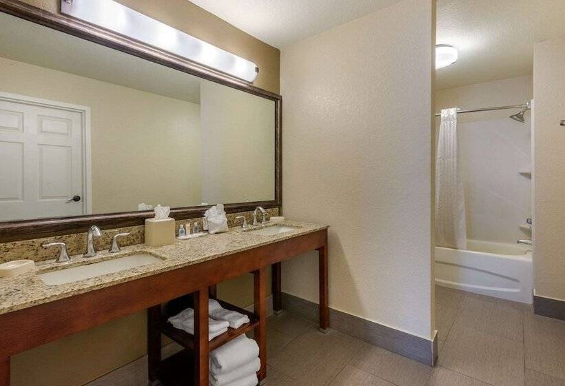 酒店 Comfort Suites The Villages