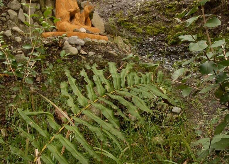 Las Nalcas Boutique Hotel & Mountain Spa