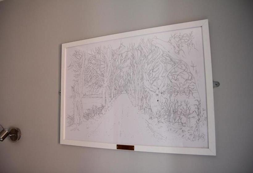 Greenmount Bed And Breakfast