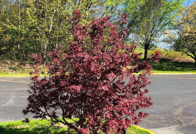 בית מלון כפרי Best Western West Lebanon Hanover