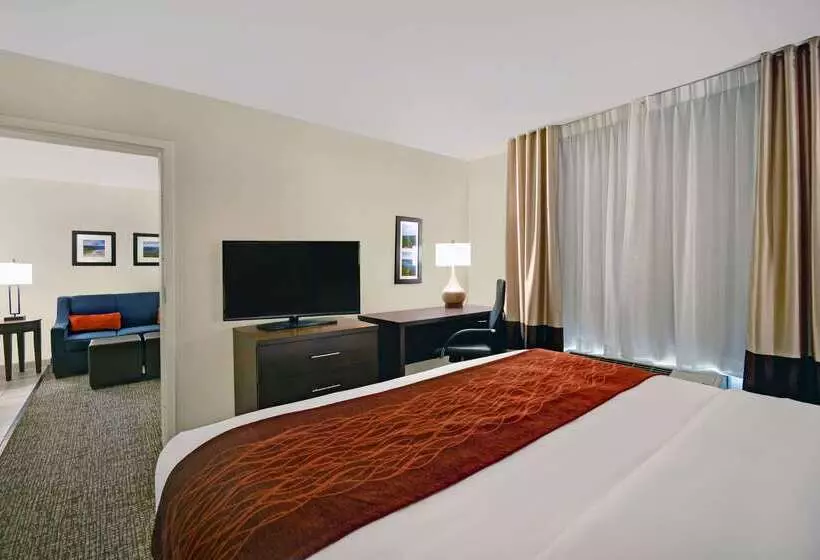 בית מלון כפרי Comfort Inn & Suites