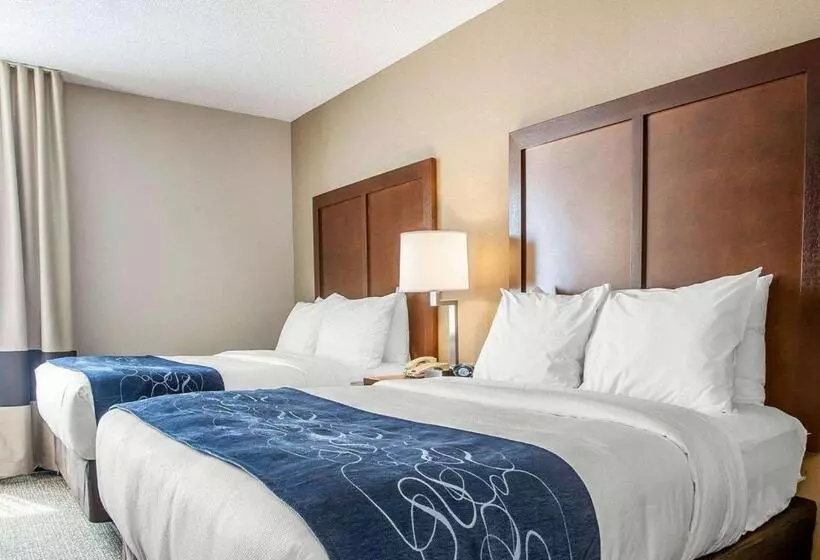 호텔 Comfort Suites West Warwick  Providence