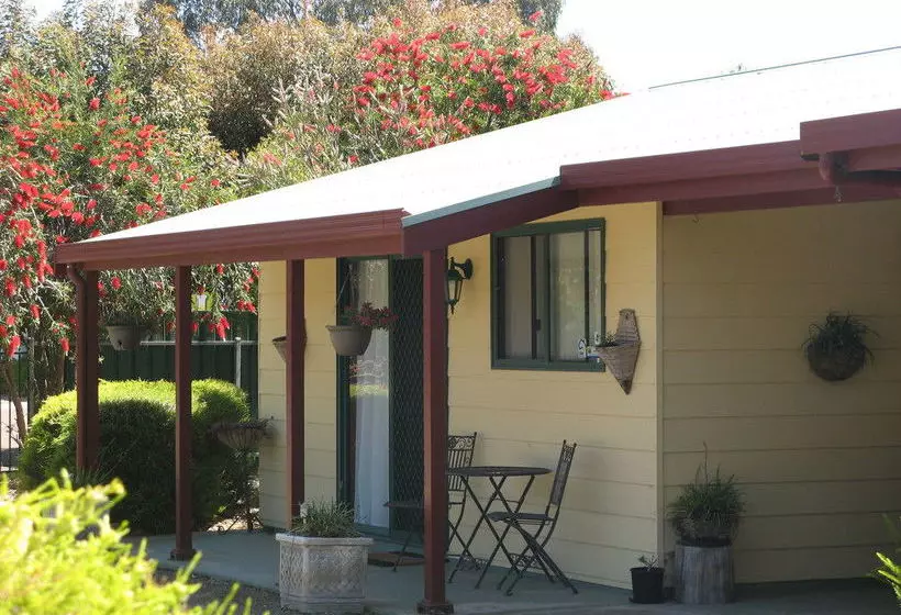 ホテル Ficifolia Lodge