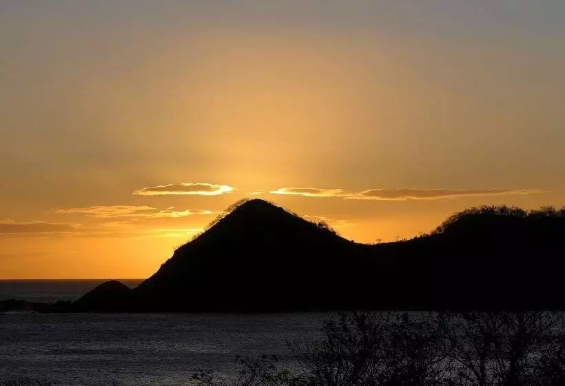 호텔 Morgan S Rock