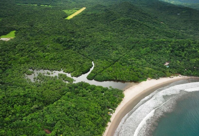 酒店 Morgan S Rock