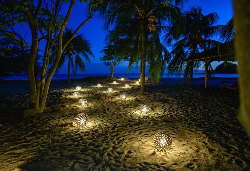 酒店 Morgan S Rock