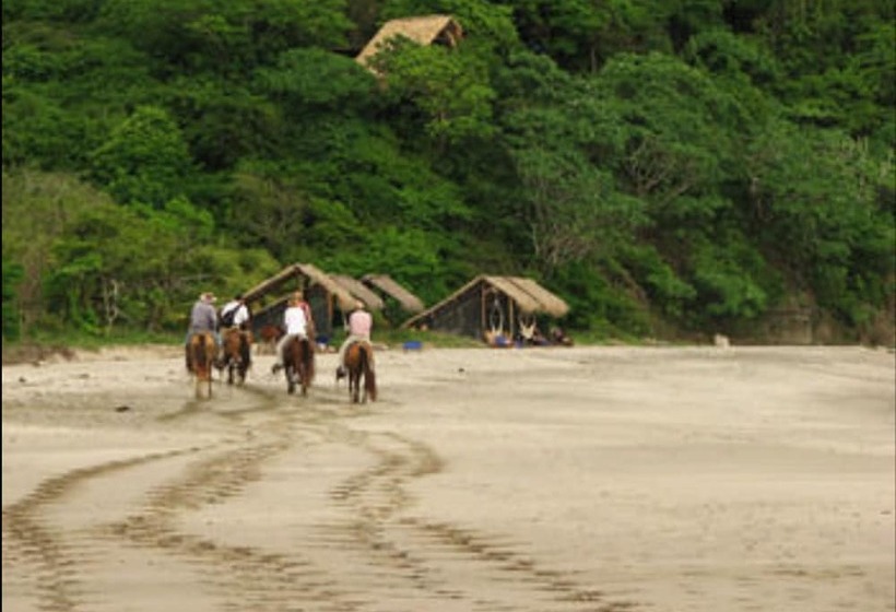 酒店 Morgan S Rock