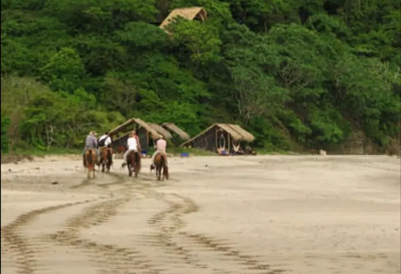 호텔 Morgan S Rock