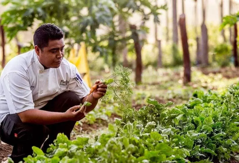 호텔 Morgan S Rock