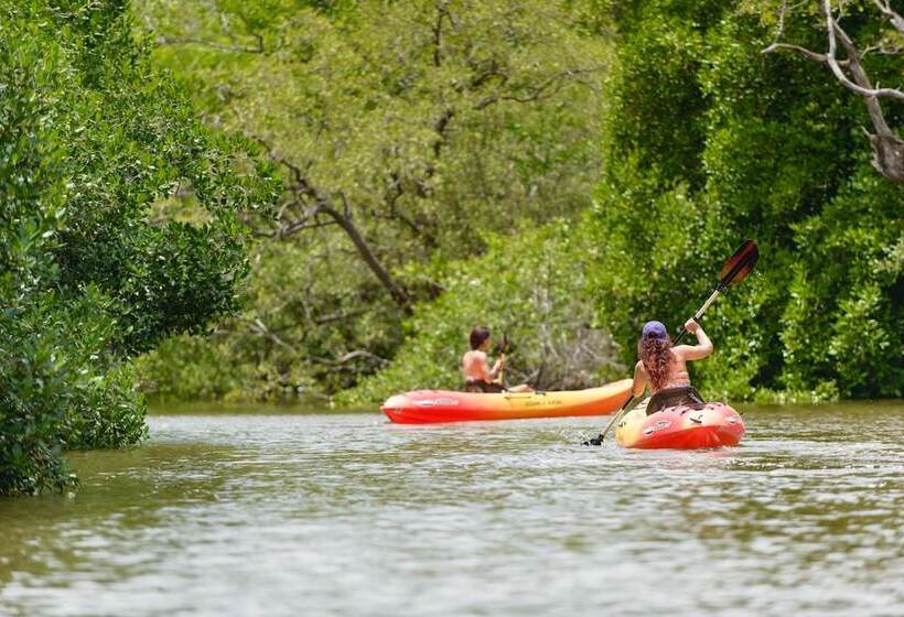 酒店 Morgan S Rock