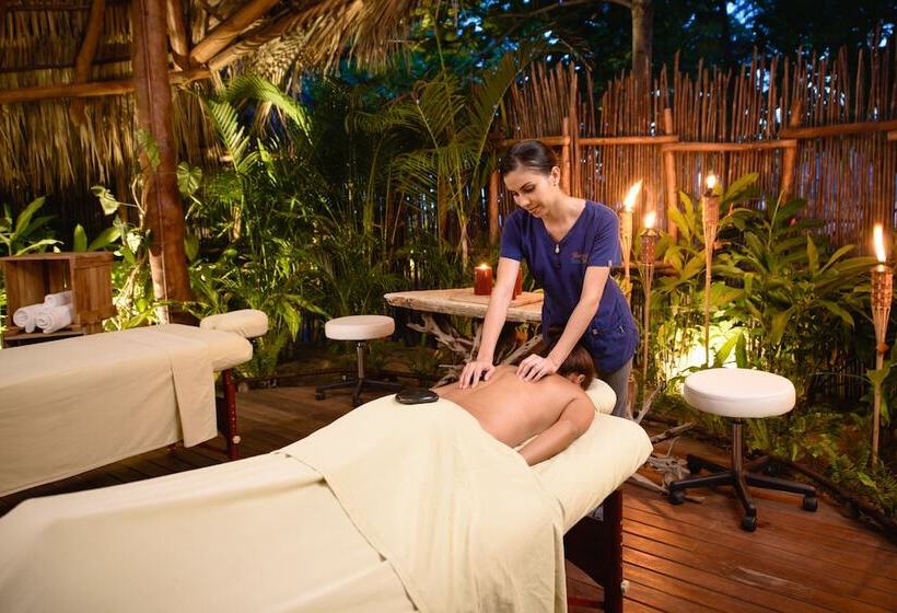 酒店 Morgan S Rock