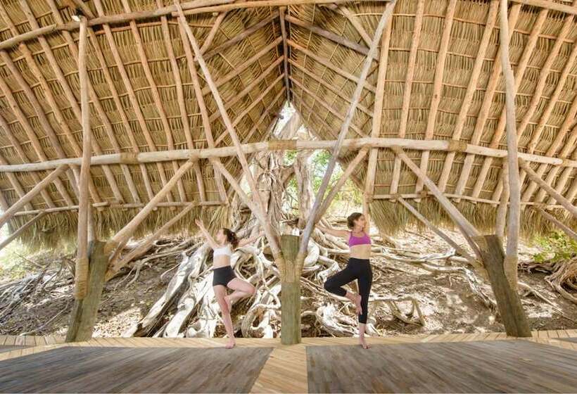 酒店 Morgan S Rock