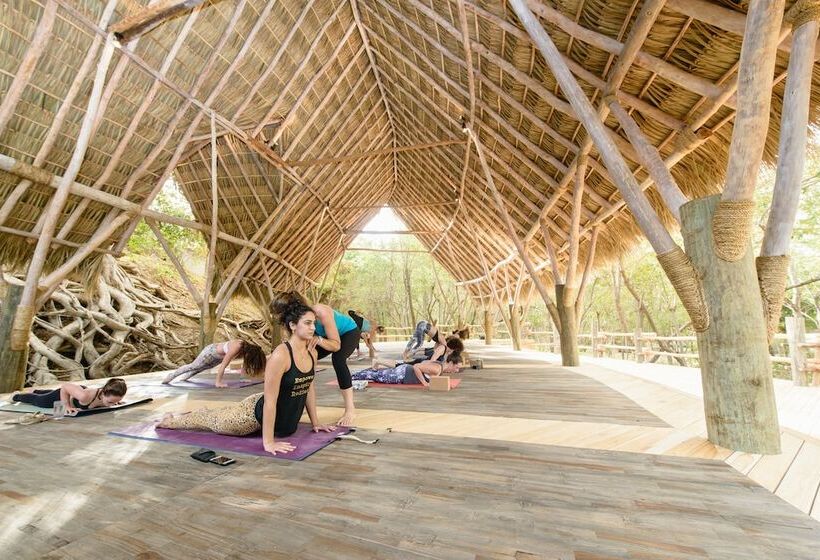 酒店 Morgan S Rock