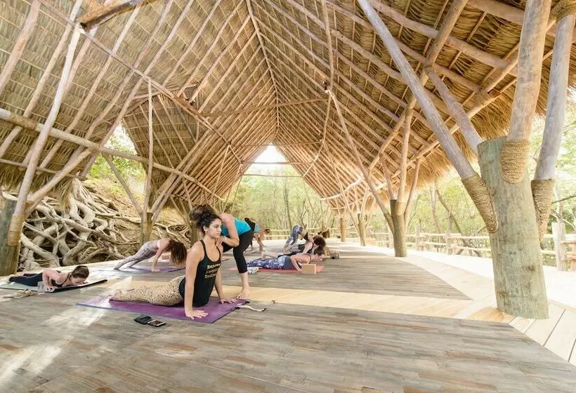 호텔 Morgan S Rock