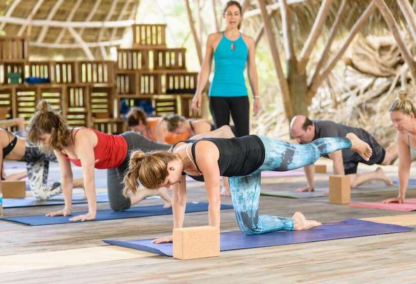 酒店 Morgan S Rock