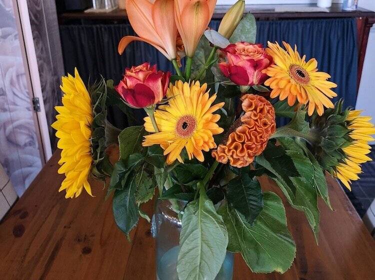 فندق Woolpack Inn