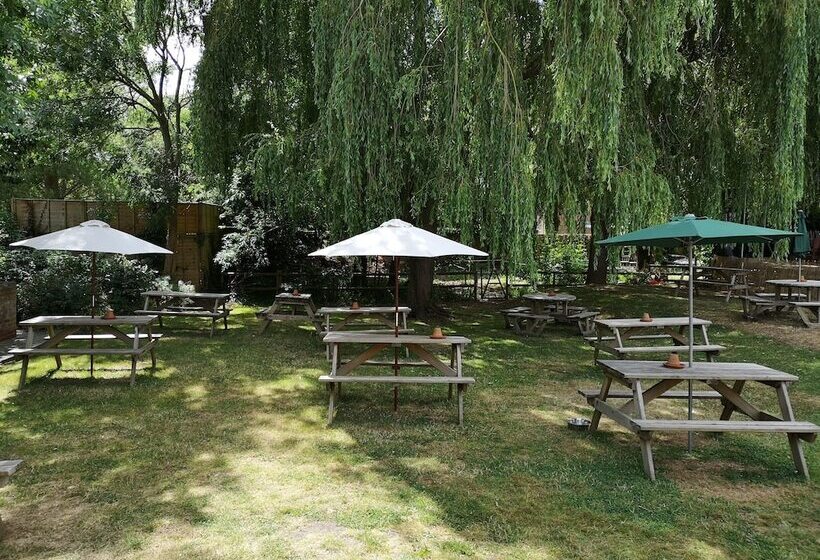 فندق Woolpack Inn