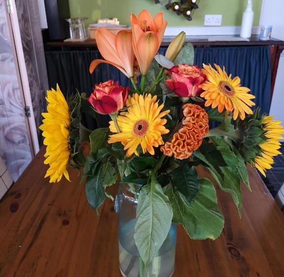 فندق Woolpack Inn