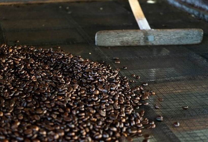 Mesastila Resort And Spa