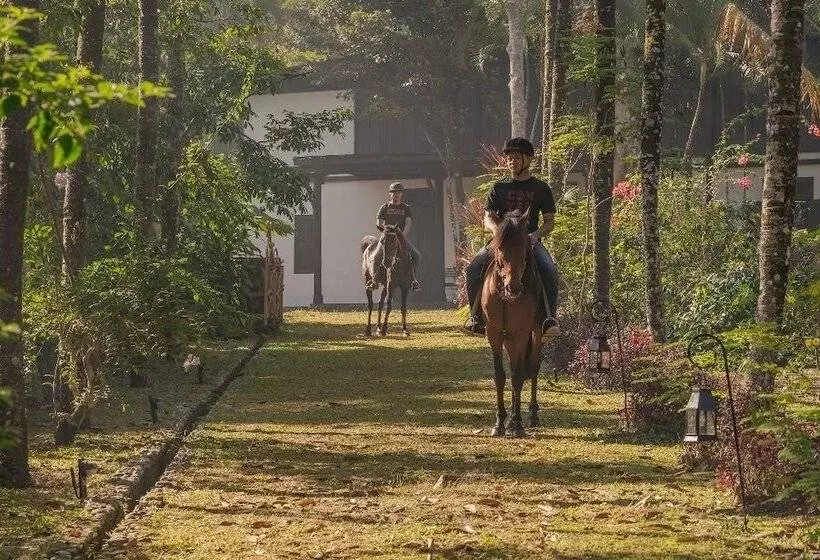 Mesastila Resort And Spa