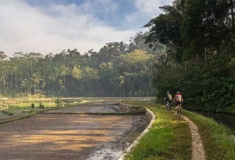 Mesastila Resort And Spa