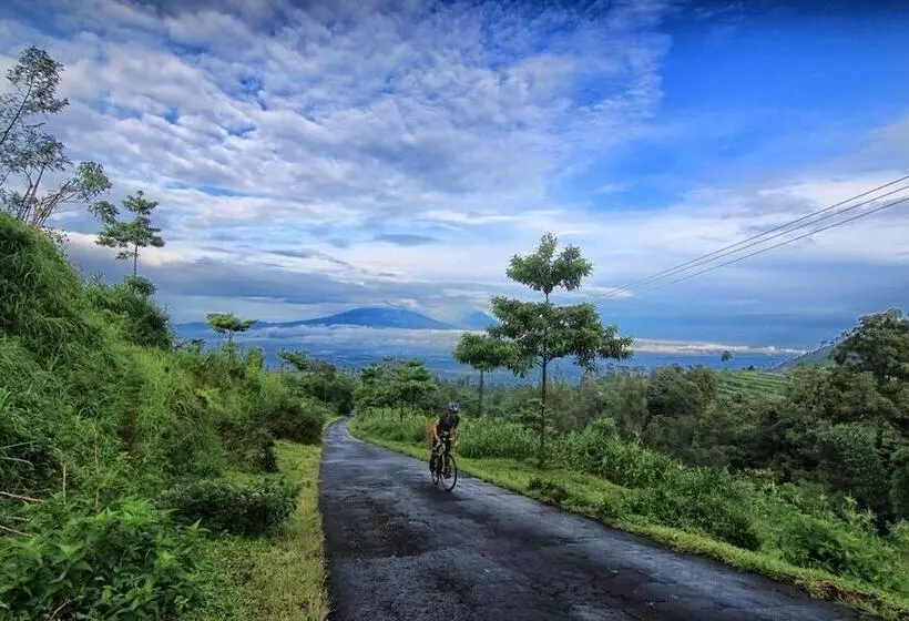 Mesastila Resort And Spa