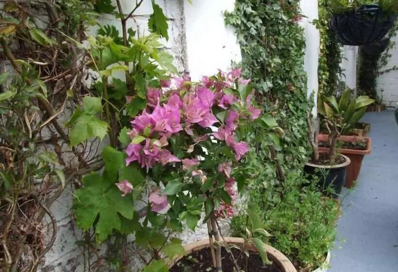 مبيت وإفطار Braedene Lodge