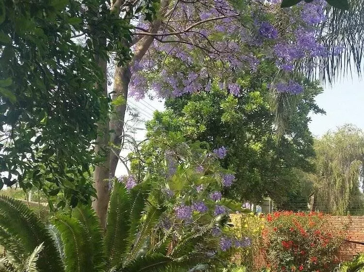 客栈  Constantia Manor Guest House