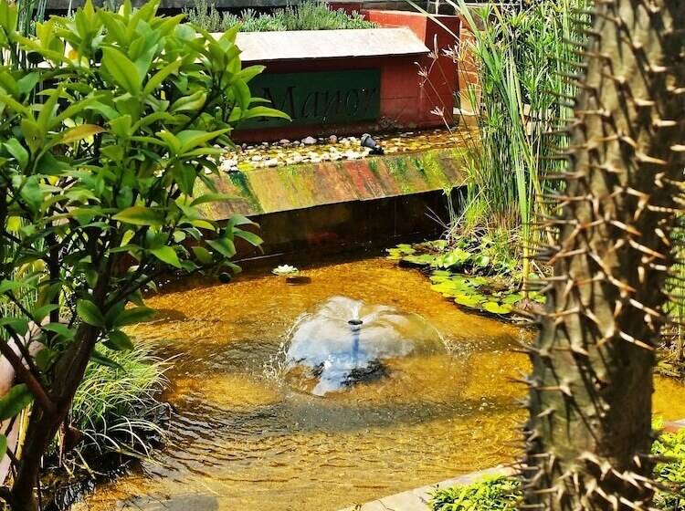 Herberg Constantia Manor Guest House