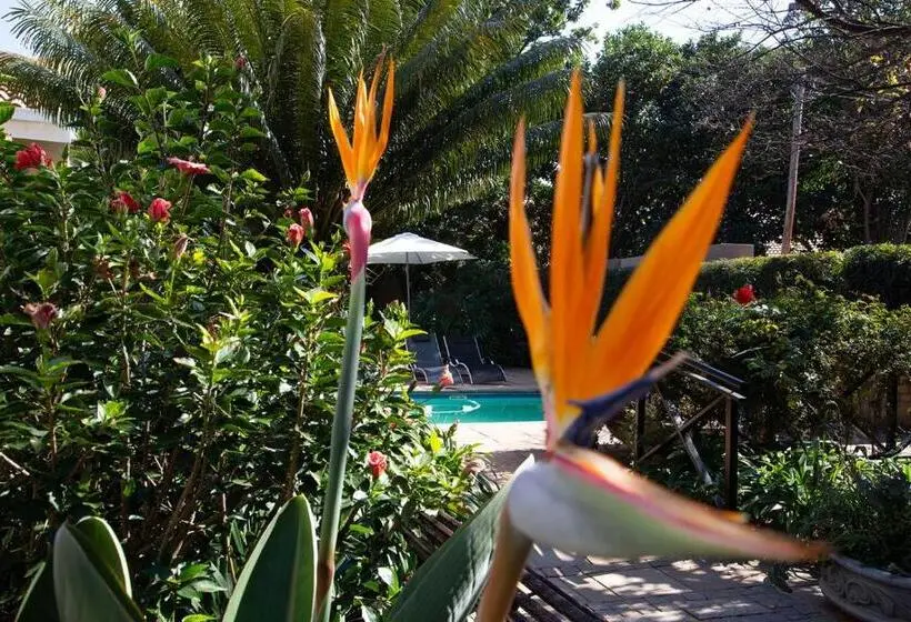 簡易ホテル Constantia Manor Guest House