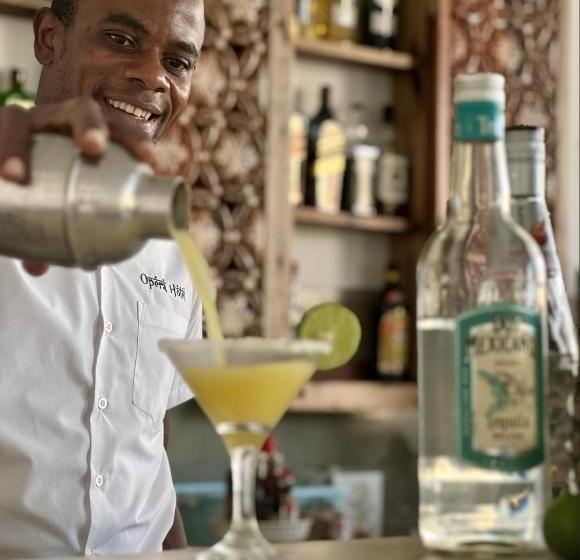 فندق فئة نجمة واحدة Opera