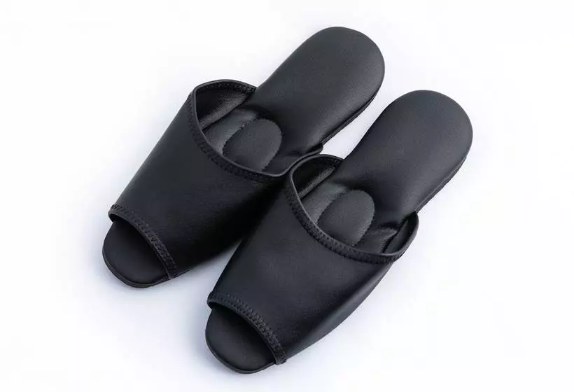 Apa Hotel Kodemmacho Ekimae