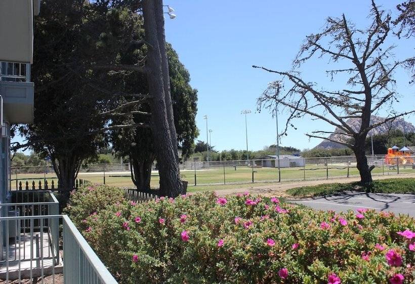 Отель Morro Shores Inn And Suites