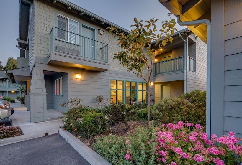 Отель Morro Shores Inn And Suites