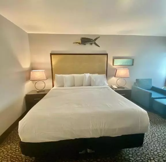 酒店 Morro Shores Inn And Suites