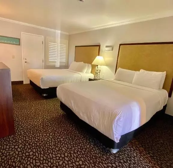 酒店 Morro Shores Inn And Suites