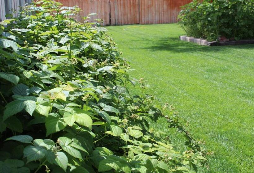 فندق Ontario Inn