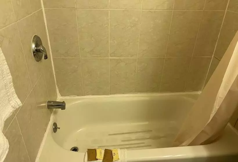 فندق Red Carpet Inn & Suites