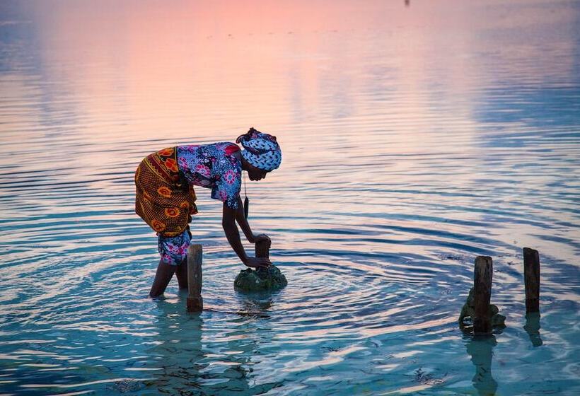 בית מלון כפרי Sevi Boutique