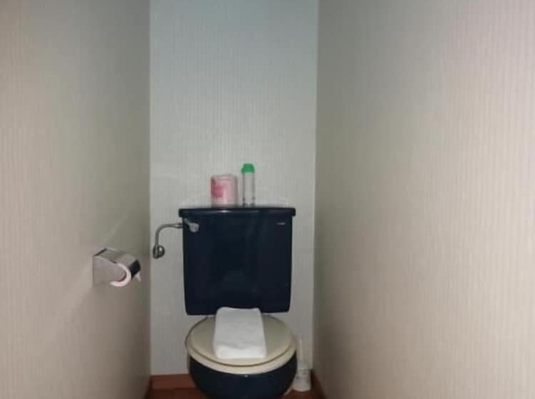 فندق Soho Asakusa