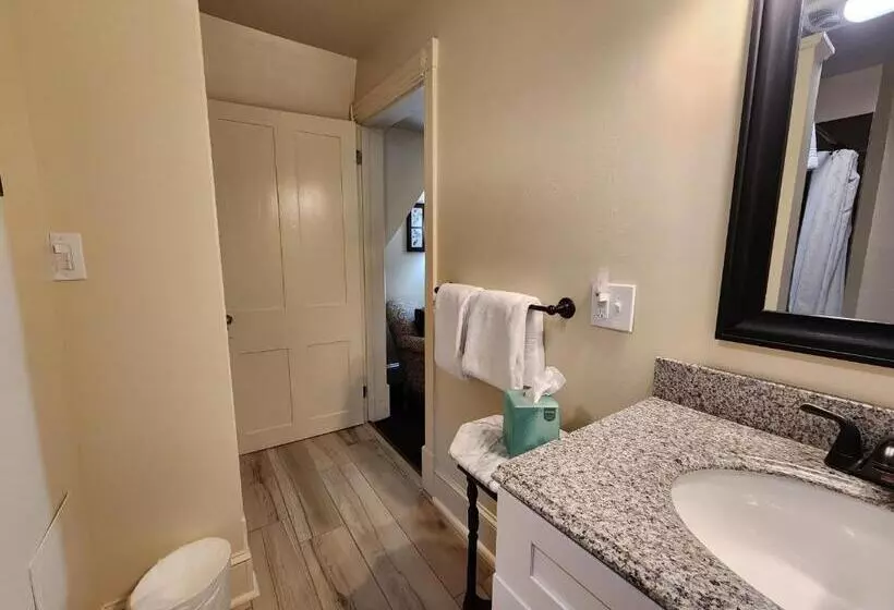 Отель The Sayre Mansion