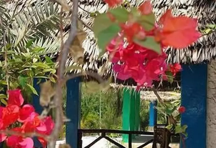 Otel Twisted Palms Lodge & Restaurant