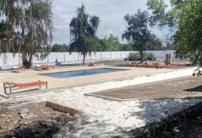 Otel Twisted Palms Lodge & Restaurant