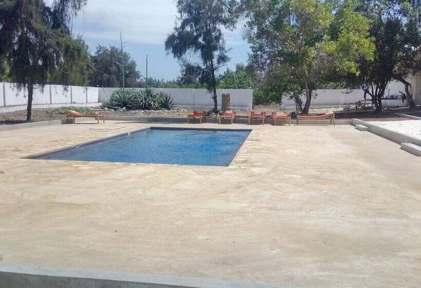 בית מלון כפרי Twisted Palms Lodge & Restaurant