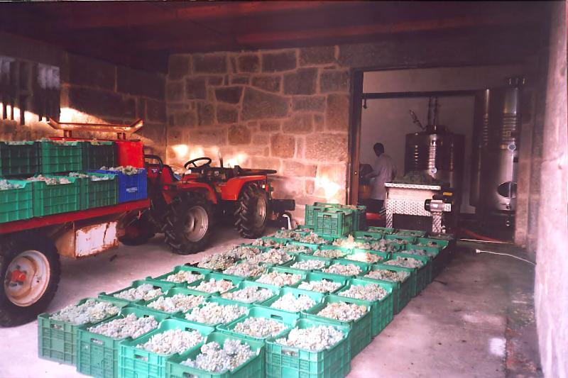 Os Areeiros Turismo Rural & Bodega